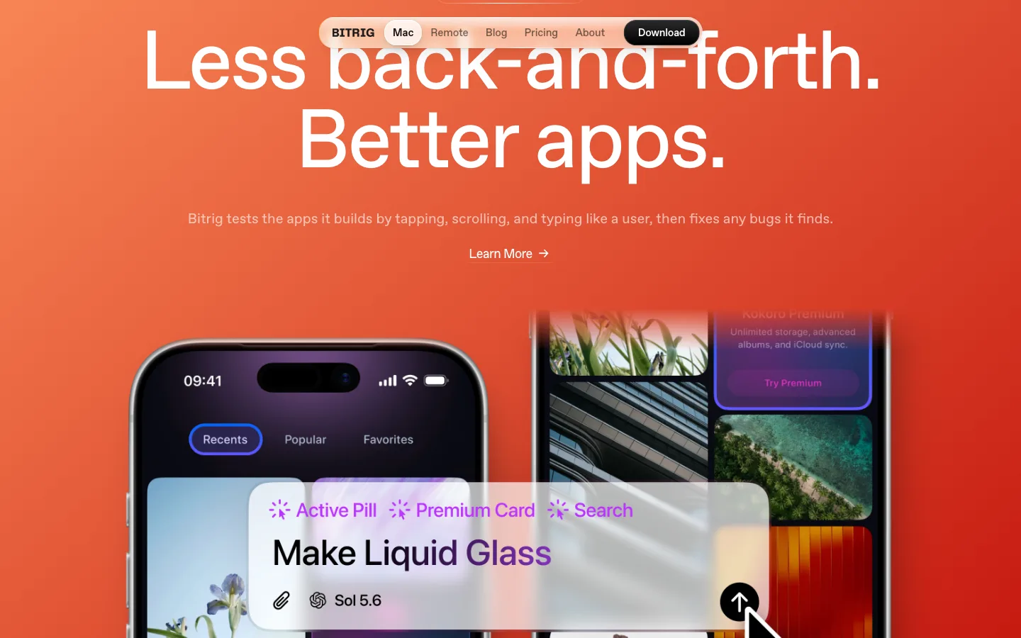 bitrig.com — Section 1